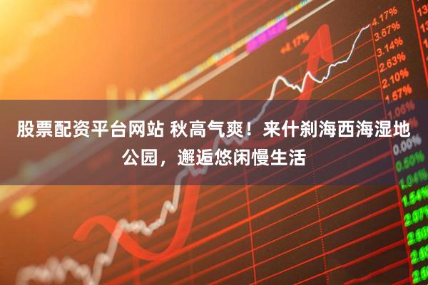 股票配资平台网站 秋高气爽！来什刹海西海湿地公园，邂逅悠闲慢生活